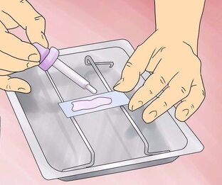 Методология в микробиологии