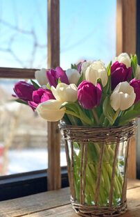 Ролики с лексикой