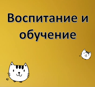Жить в согласии с собакой и котом
