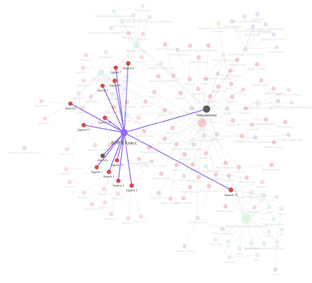 Разбор ВПР по Информатике 2025 года