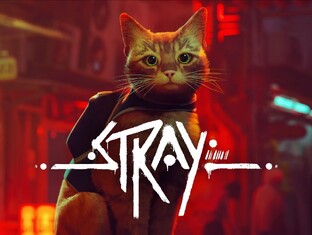  Stray / Steam Летсплей 