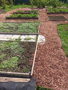 Огородный микс