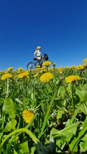 Велопрогулки