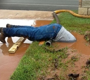 Смешные фото