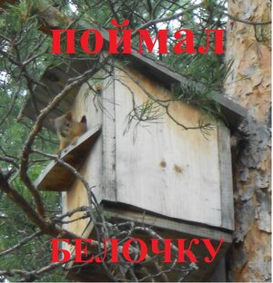 Из жизни