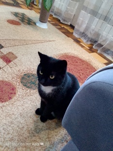 любимые видео автора