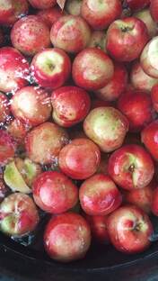 Свежий нектарин 