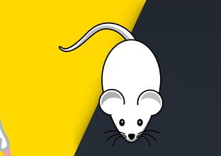 Борьба с вредителями 