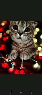 Посты статьи