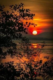 Доброй ночи 