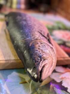 Рецепты вкусных закусок 