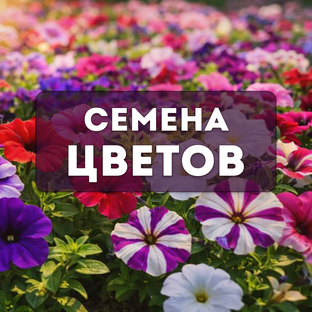 Семена цветов