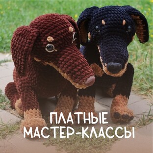 Платные мастер-классы на больших собак