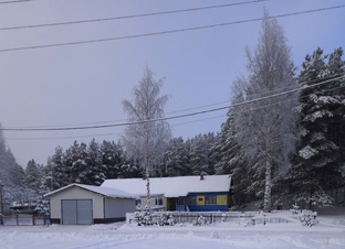 Лесничество, лесхоз, мехлесхоз