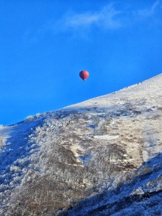 Процедуры и диагнозы