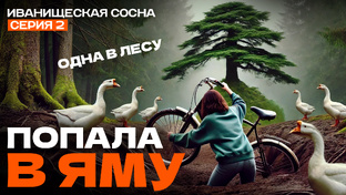 Иванищенская сосна
