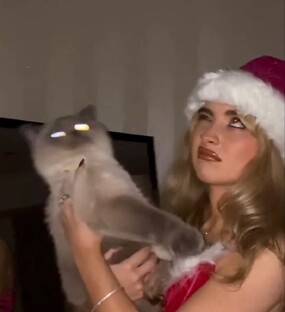 (!!не читайте это!!)