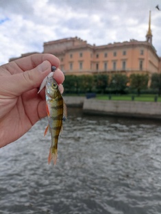 В Питере рыб ловить / Streetfishing / Стритфишинг