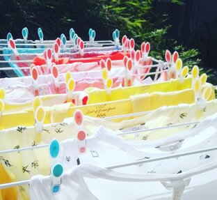 Записки бывалой домохозяйки