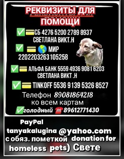 Наши реквизиты, для помощи 
