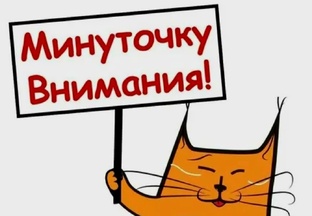 МОШЕННИК с сайта знакомств