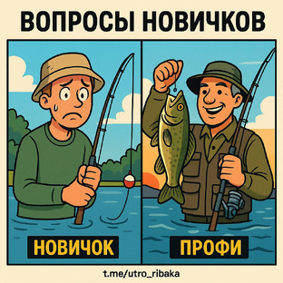 Вопросы новичков