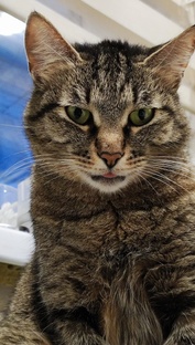 В моменте...