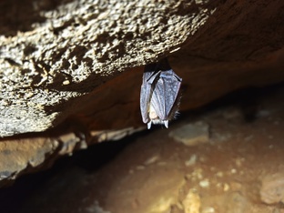 Пещеры. Спелеология