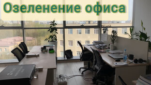 Секрет успеха: как превратить свой офис в зеленый рай по помощи растений 