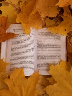 Что почитать и посмотреть 📚🎬