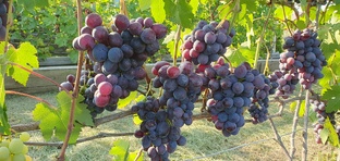 Наш прайс и контакты