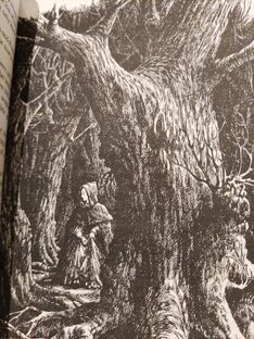 Чудесные ирландские сказки