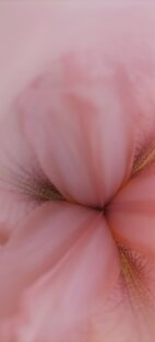 Венера в натальной карте ♀️