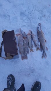 Рыбалка на танае, дорога,процесс,результат.