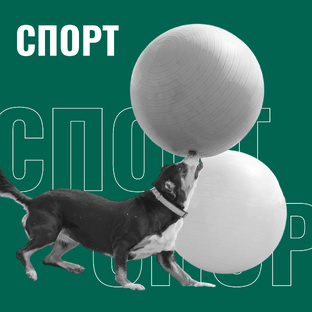 Спорт