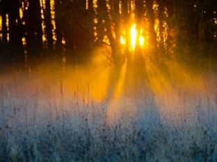 Праздники - ( Государственные и Религиозные )