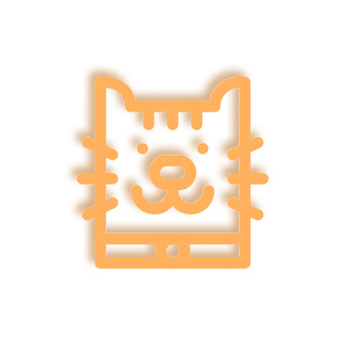 Кошачьи секреты: как понять усатого