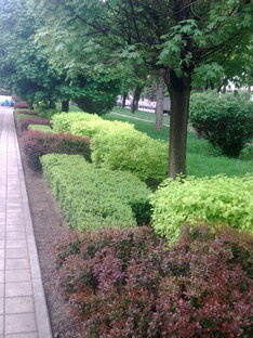 Недвижимость Краснодарского края