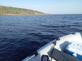 жидкий сезон 2025