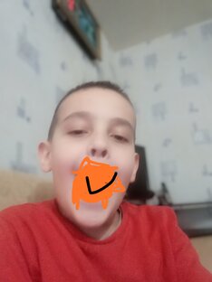 Чёрный гусь 