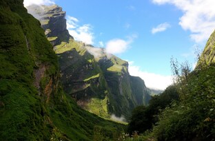 Искусственный интеллект