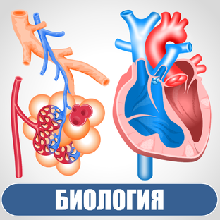 Материалы по биологии
