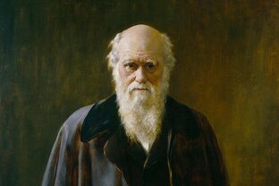 Премия Дарвина