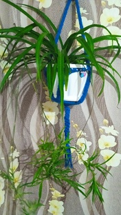 творчество