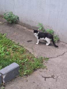 Добро зоны 19.