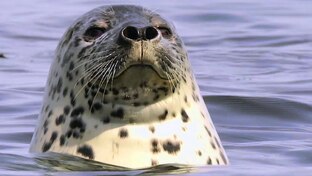 Погода  обещает отличные выходные для сплавов в августе