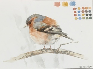 Живопись акварель, гуашь, акрил