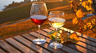 Наши услуги 🍷