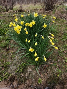 Со всего Дзена