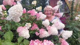 Мой садик огородик - дача.